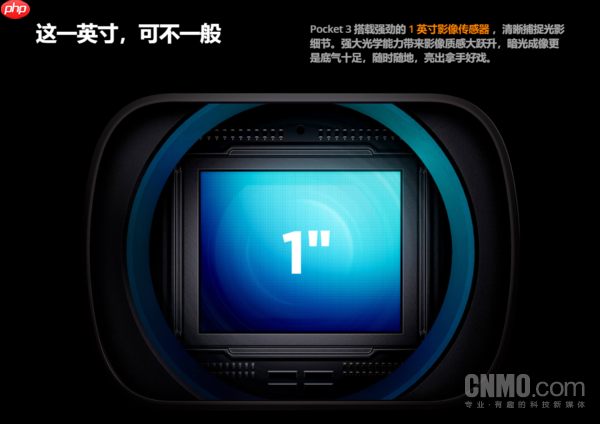 OPPO、vivo们排队进入Pocket赛道 手机不香了?