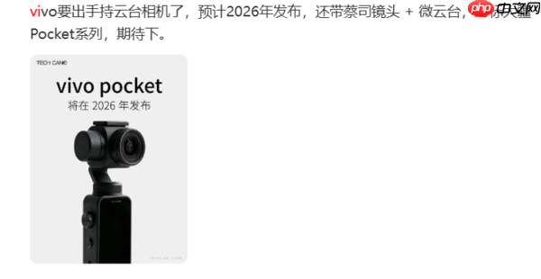 OPPO、vivo们排队进入Pocket赛道 手机不香了?