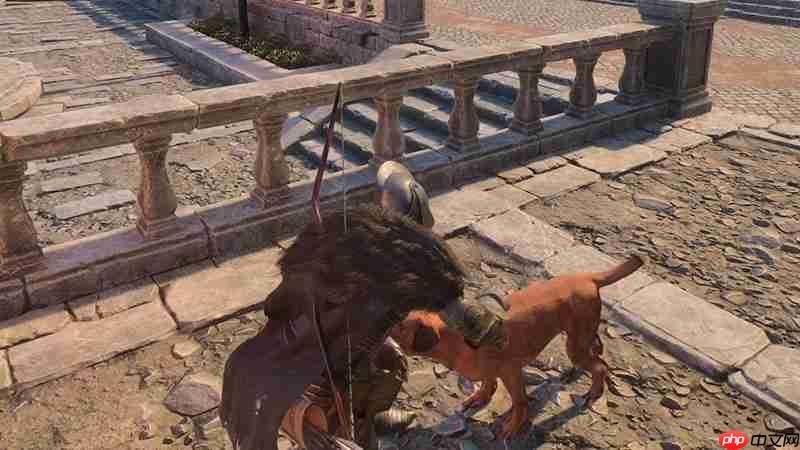 颂钟长鸣大型更新概览：全新生物登陆哈尔玛尔群岛