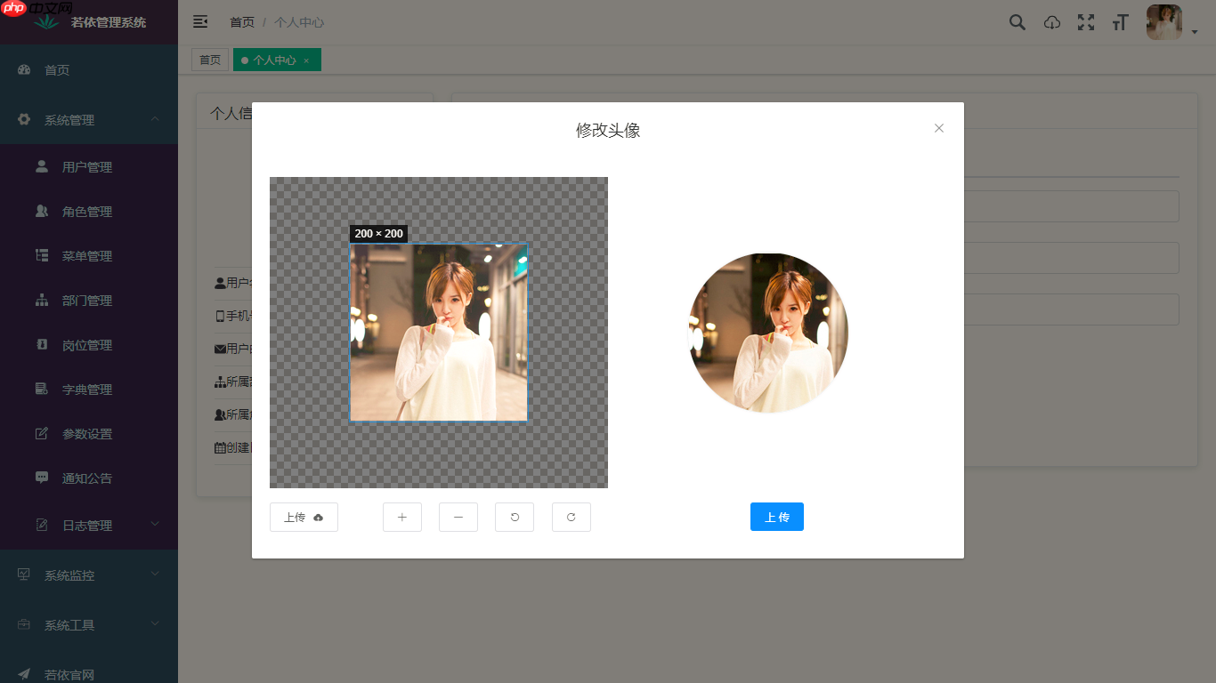 RuoYi-Vue 3.9.1 发布，更多细节优化