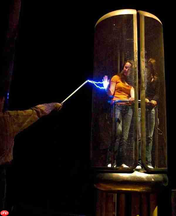 手机放电饭锅里 抢票成功率就会变高？