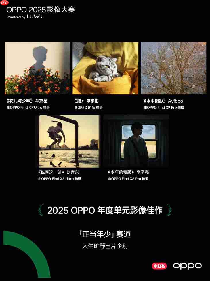 点亮感动时刻  OPPO 2025影像大赛获奖作品正式公布
