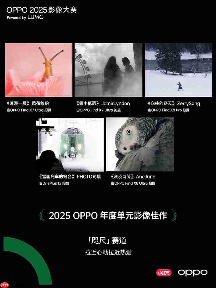 点亮感动时刻  OPPO 2025影像大赛获奖作品正式公布