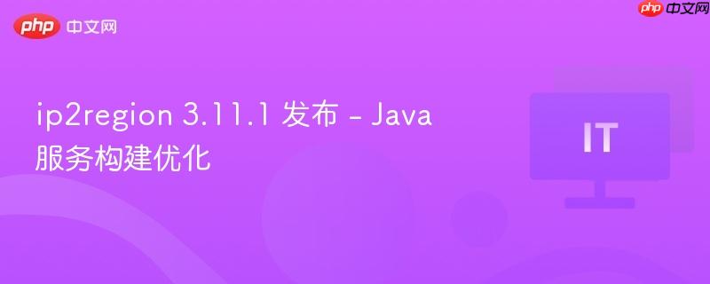 IP2Region 3.11.1发布，Java服务构建优化方案