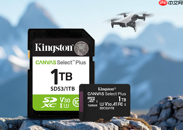 冬季外拍实力派 金士顿CanvasPlus系列存储卡
