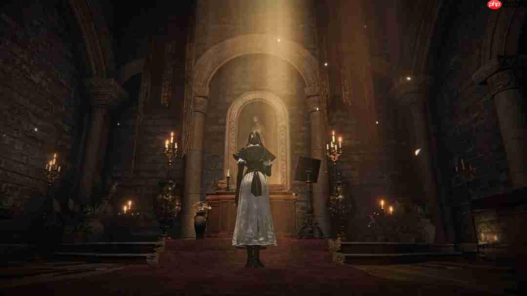 翘臀修女爱舔墙!《艾尔登法环:黑夜君临》修女全皮肤舔墙合集