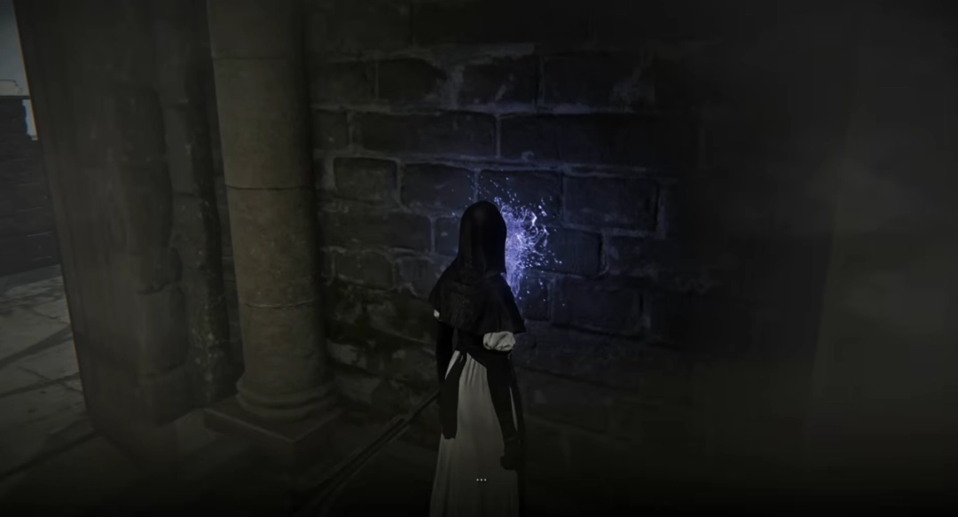 翘臀修女爱舔墙!《艾尔登法环:黑夜君临》修女全皮肤舔墙合集