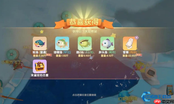 鲶鱼钓鱼全攻略:从入门到精通,轻松获取高级鱼饵