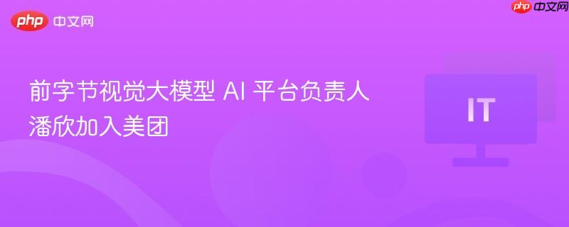 前字节视觉大模型负责人潘欣加盟美团