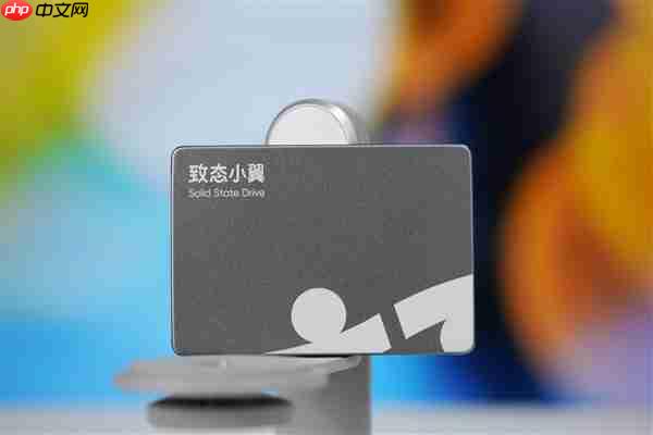 长江存储原厂颗粒!致态小翼S001 1TB SSD图赏