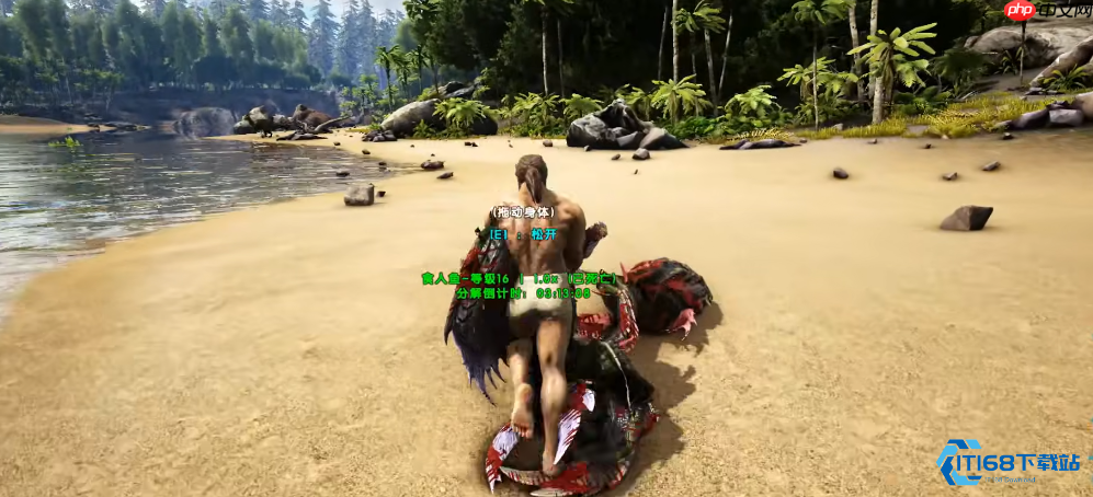 水域生存指南：应对食人鱼的全面攻略