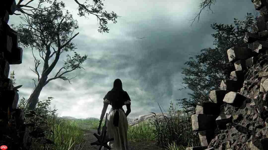 翘臀修女姐姐！《艾尔登法环黑夜君临》DLC角色PV：送葬者