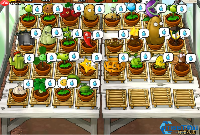 植物大战僵尸高效赚取金币全攻略