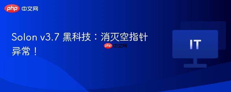Solon v3.7黑科技，空指针异常终结者！