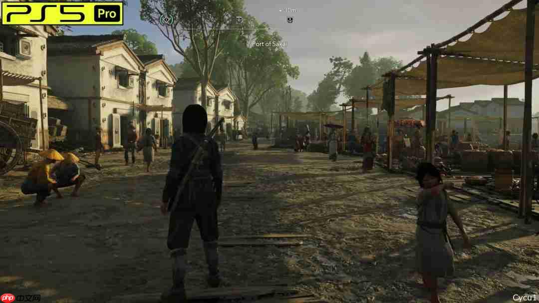 《刺客信条:影》PS5 Pro和Switch 2画面对比