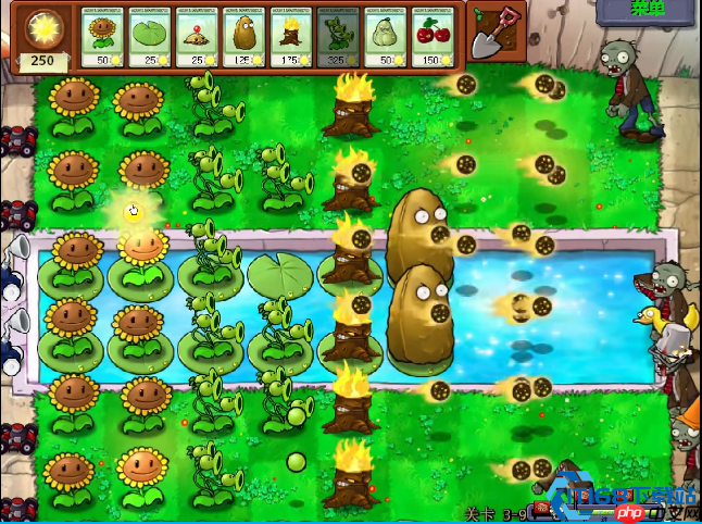 植物大战僵尸关卡通关终极攻略:从开局到后期的完美战术指南