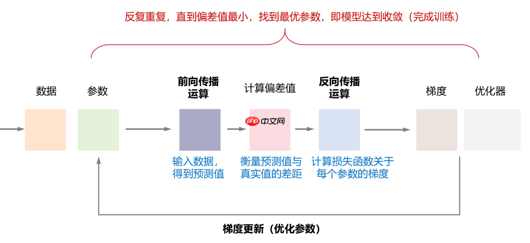一文看懂 AI 大模型的并行训练方式(DP、PP、TP、EP)