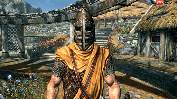 上古卷轴5玩家巧妙拯救主线任务中龙摔死士兵的创意方法汇总