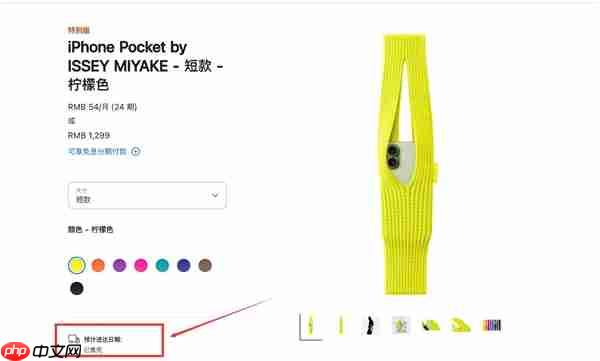 iPhone Pocket全球售罄:苹果“一块布”卖1299元