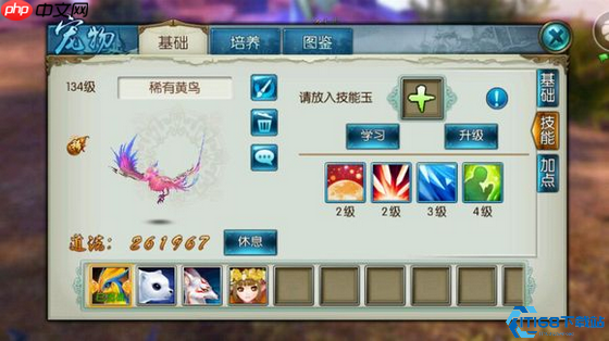 青云全方位养成指南:从宠物搭配到元婴培养的终极攻略