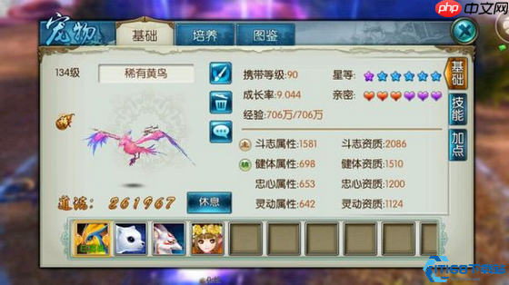 青云全方位养成指南:从宠物搭配到元婴培养的终极攻略