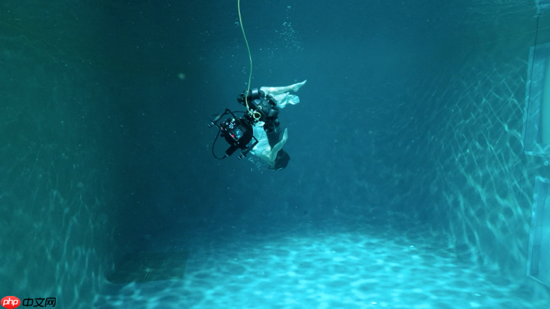 鳍源科技联合索尼，共同打造影视级智能水下拍摄系统