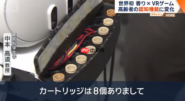 日本科学家新研究 香气配合VR游戏可延缓老年认知衰减