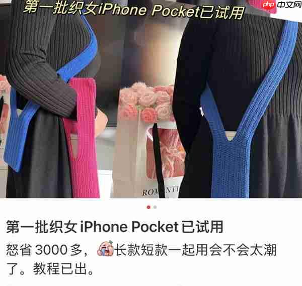 怒省3000多元！大量网友用钩针复刻iPhone Pocket