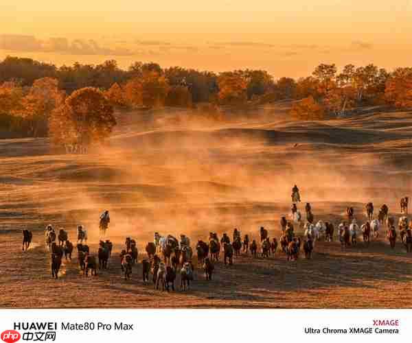 何刚晒华为Mate 80系列实拍样张：红枫影像色彩表现一绝