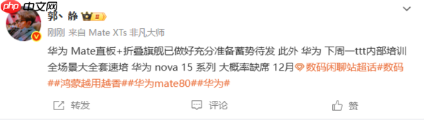 曝华为nova 15系列配2.5D护眼直屏 12月发布无望?