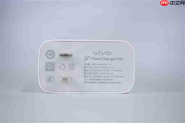 2亿像素旗舰主摄!vivo Y500 Pro图赏