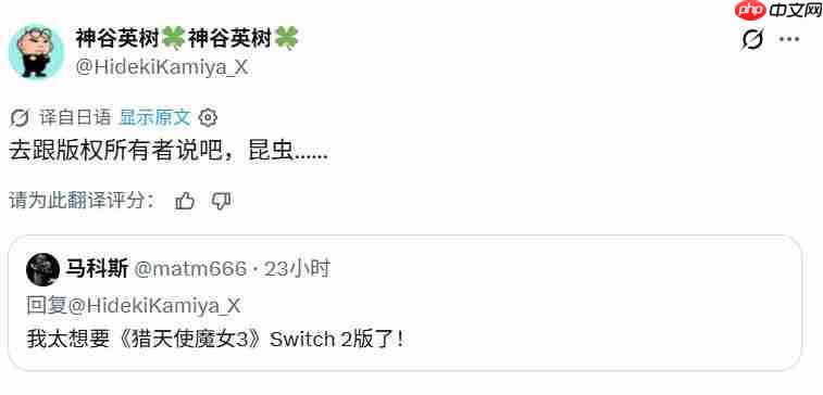 别来问我! 神谷英树回应《猎天使魔女3》是否存在Switch2版