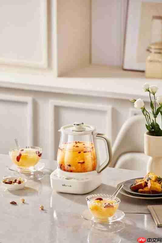 双11品质养生怎么选?跟着榜单首选“榜一”小熊电器养生壶