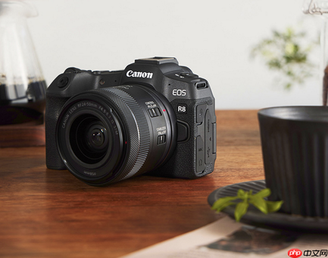 旅拍、亲子、野生动物:佳能R8便携性全画幅相机一机搞定