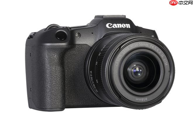 旅拍、亲子、野生动物:佳能R8便携性全画幅相机一机搞定