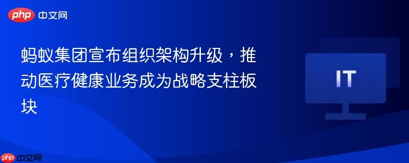 蚂蚁集团组织架构升级，医疗健康业务成战略支柱板块发力点