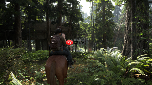 DLAA驾驶体验分享，一次难忘的开车之旅