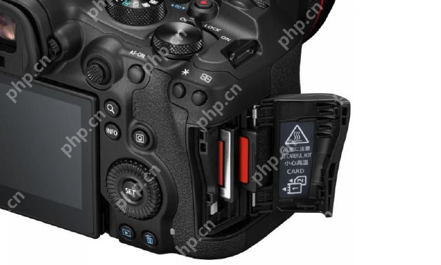 佳能发布全画幅专微相机EOS R6 Mark III：影像核心全面升级 - php中文网