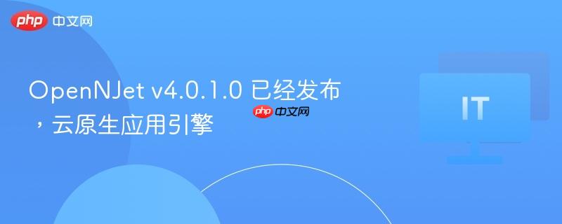 OpenNJet v4.0.1.0发布，云原生应用引擎新里程碑