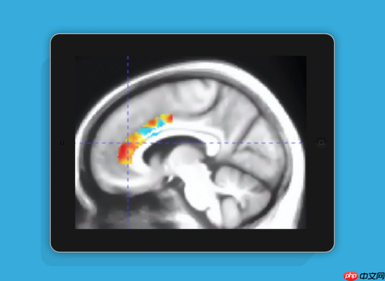 国外新研究 游玩10周大脑训练类游戏可抵消10年脑退化