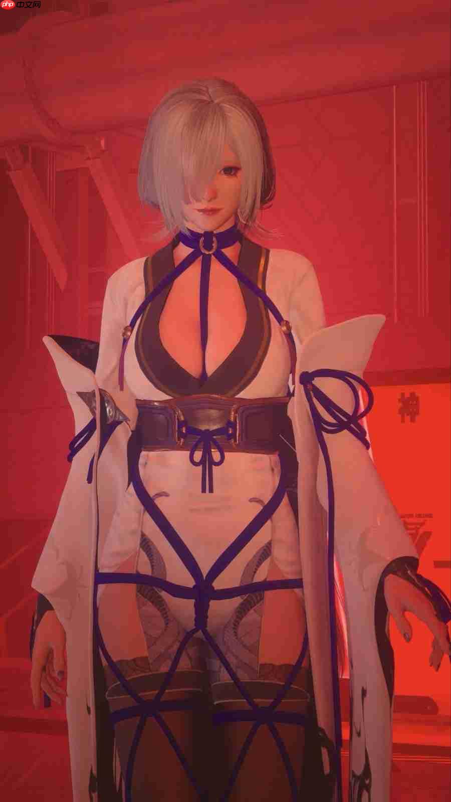 《忍者龙剑传4》Seori隼龙绫音艺术图 非常棒啊！