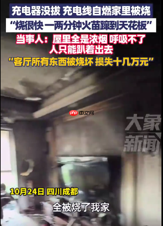 充电器没拔家被烧 电视被烧爆 当事人:损失十几万