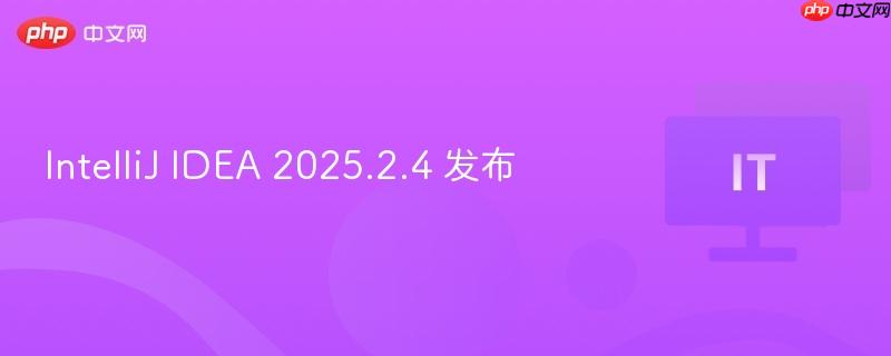 IntelliJ IDEA 2025.2.4版本发布通告