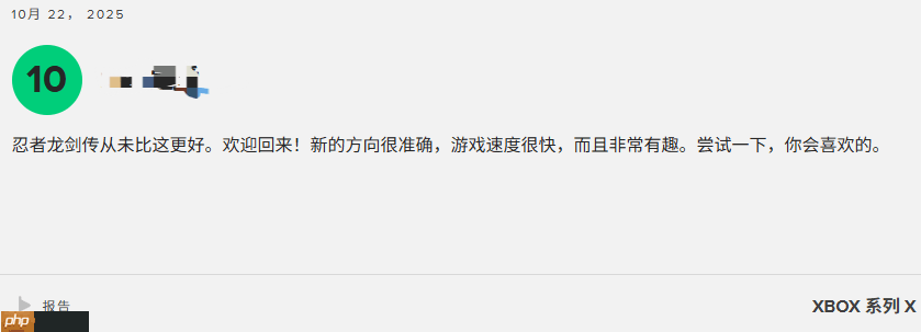 《忍者龙剑传4》M站玩家评分8.4分:音乐超赞 战斗太爽!