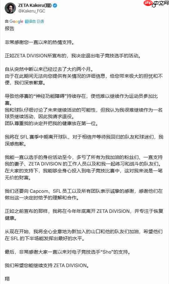 健康原因难以为继 日本《街霸》冠军选手