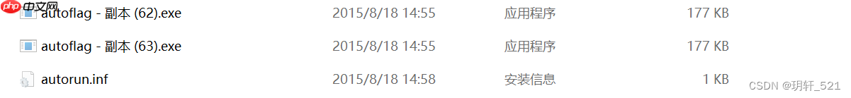 BUUCTF 小易的U盘 1