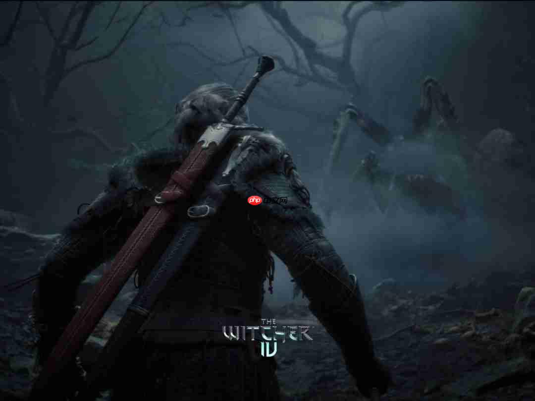巫师宇宙新项目揭秘，CDPR招聘透露惊喜信息，探索奇幻世界！