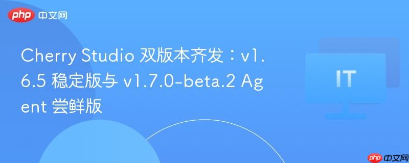 Cherry Studio双版本发布，v1.6.5稳定版与v1.7.0-beta.2 Agent尝鲜版发布