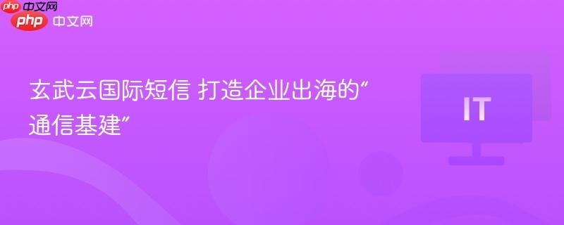 玄武云国际短信，企业出海的通信基建之选