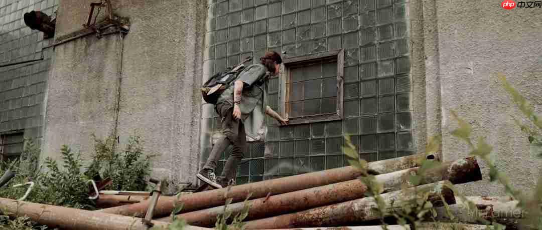 粉丝自制《最后生还者2》短片 网友盛赞超越剧版